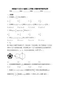陕西省十七校2025届高三上学期11月期中联考数学试卷(含答案)