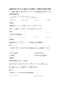 2025届湖南省永州市高三(上)第一次模拟数学试卷(解析版)