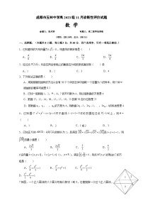 四川省成都市玉林中学2024-2025学年高二上学期11月诊断性评价数学试题