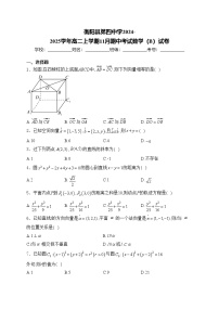 衡阳县第四中学2024-2025学年高二上学期11月期中考试数学（B）试卷(含答案)