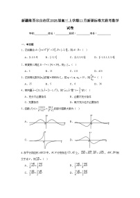 新疆维吾尔自治区2025届高三上学期11月新课标卷大联考数学试卷