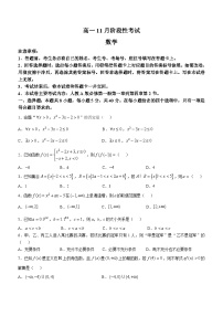广西名校联盟2024-2025学年高一上学期11月期中阶段性考试数学试题