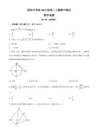四川省绵阳市绵阳中学2024～2025学年高二(上)期中数学试卷(含答案)