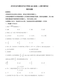 四川省泸州市泸化中学2024～2025学年高二(上)期中数学试卷(含答案)