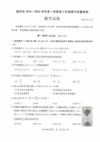 北京市通州区2024-2025学年高三上学期期中考试数学试卷（PDF版附答案）