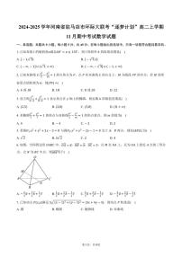 2024～2025学年河南省驻马店市环际大联考“逐梦计划”高二(上)期中数学试卷(含答案)