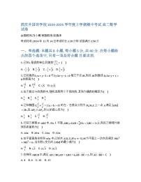 湖北省武汉外国语学校2024-2025学年高二上学期期中考试数学试题