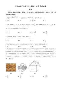 湖南省株洲市南方中学2024～2025学年高三(上)11月月考数学试卷(含答案)