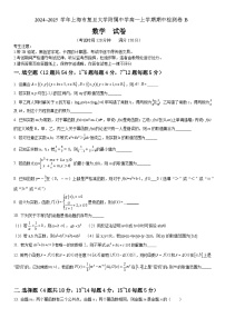 上海市杨浦区复旦大学附属中学2024-2025学年高一上学期11月期中检测卷（B）数学试题