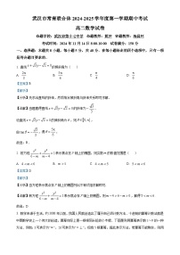湖北省武汉市常青联合体2024-2025学年高二上学期期中考试数学试卷（Word版附解析）