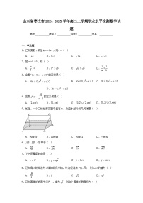 山东省枣庄市2024-2025学年高二上学期学业水平检测数学试题