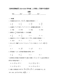天津市滨海新区2024-2025学年高二上学期11月期中考试 数学试题（含解析）
