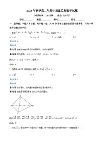 福建省泉州市安溪县2024-2025学年高二上学期11月期中质量监测数学试题（解析版）