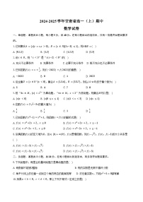 2024-2025学年甘肃省高一（上）期中数学试卷（含答案）