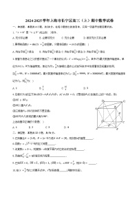 2024-2025学年上海市长宁区高三（上）期中数学试卷（含答案）