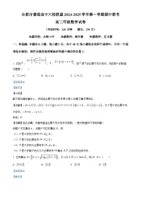 安徽省合肥市普通高中六校联盟2025届高三上学期期中联考数学试题