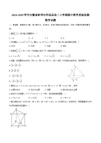 2024-2025学年安徽省蚌埠市怀远县高二上学期期中教学质量检测数学试题（含答案）