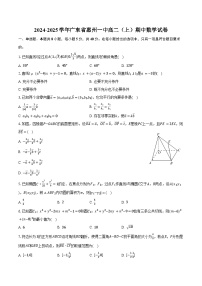 2024-2025学年广东省惠州一中高二（上）期中数学试卷（含答案）