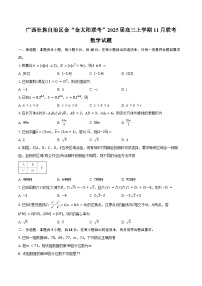 广西壮族自治区金“金太阳联考”2025届高三上学期11月联考数学试题（含答案）