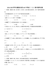2024-2025学年安徽省合肥168中学高二（上）期中数学试卷（含答案）