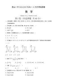 甘肃省天水市武山县第一高级中学2024-2025学年高一上学期11月月考数学试题