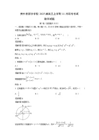 2025届贵州省部分学校高三(上)11月联考考试数学试卷(解析版)
