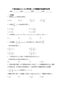 广西合浦县2024-2025学年高二上学期期中检测数学试卷(含答案)