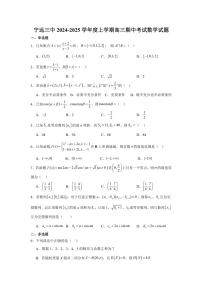 湖南省永州市宁远县第三中学2024～2025学年高三(上)期中数学试卷(含答案)
