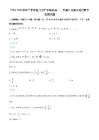 2024-2025学年广东省梅州市广东梅县高一上学期11月期中考试数学检测试题（含解析）