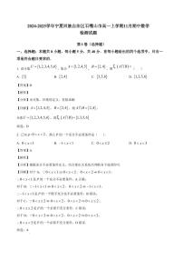 2024-2025学年宁夏回族自治区石嘴山市高一上学期11月期中数学检测试题（含解析）