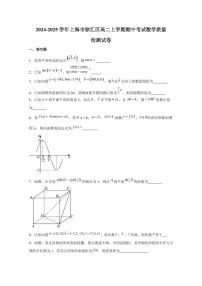2024-2025学年上海市徐汇区高二上学期期中考试数学质量检测试卷（含解析）