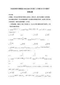 河南省焦作市博爱县2024-2025学年高三上学期10月月考数学检测试题