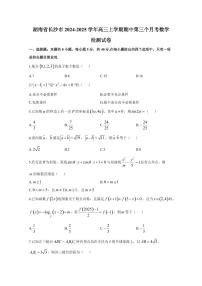 湖南省长沙市2024-2025学年高三上学期期中第三个月考数学检测试卷（含解析）