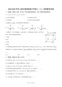 2024～2025学年上海市青浦高级中学高三(上)质检数学试卷(含答案)