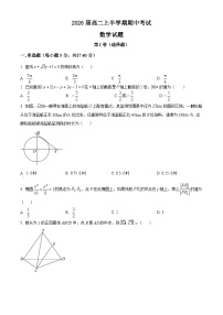 四川省眉山市东坡区眉山北外附属东坡外国语学校2024-2025学年高二上学期11月期中考试数学试题