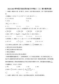 2024-2025学年四川省自贡市旭川中学高三（上）期中数学试卷（含答案）