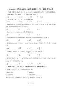 2024-2025学年云南省长水教育集团高三（上）期中数学试卷（含答案）