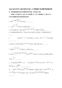 2024-2025学年上海市徐汇区高三上学期期中考试数学检测试卷