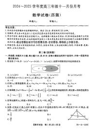 安徽省六安市毛坦厂中学2024-2025学年高三上学期11月月考数学试题