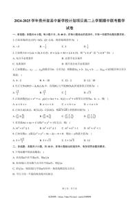 2024～2025学年贵州省县中新学校计划项目高二(上)期中联考数学试卷(含答案)