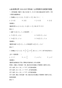 2024-2025学年山东省潍坊市高一(上)期中考试数学试卷(解析版)