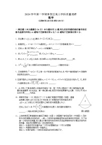 2024-2025学年上海市奉贤区高三上学期高考一模考试数学试卷含答案