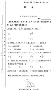 湖南省长沙市湖南师范大学附属中学2024-2025学年高三上学期月考（四）数学试题