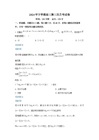 湖南省邵阳市邵东市第一中学2024-2025学年高三上学期月考（10月）数学试题