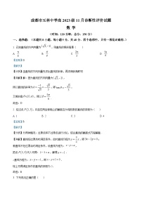 四川省成都市玉林中学2024-2025学年高二上学期11月诊断性评价数学试题（Word版附解析）
