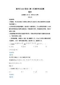 广东省惠州市2024-2025学年高三第二次调研考试（期中）数学试题