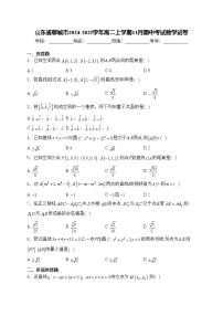 山东省聊城市2024-2025学年高二上学期11月期中考试数学试卷(含答案)