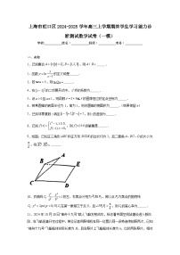 上海市虹口区2024-2025学年高三上学期期终学生学习能力诊断测试数学试卷（一模）