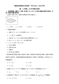 湖南省常德市汉寿县第一中学2024-2025学年高一上学期11月月考数学试题-A4