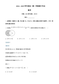 湖南省顶级名校2024-2025学年高一上学期11月期中考试数学试题含答案